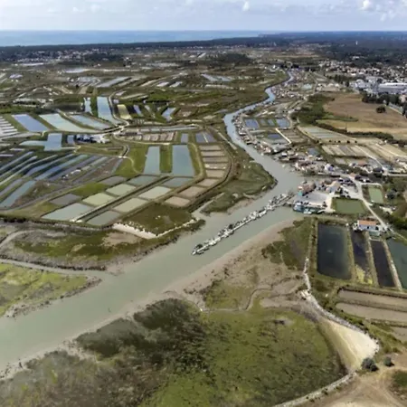 Island With Pool & Terrace Saint-Denis-d'Oleron